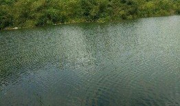 东风水库爆料视频播放下载,揭秘水库美景与神秘传说