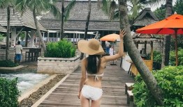 暗黑爆料入口2024最新版,揭秘最新版神秘功能与变革